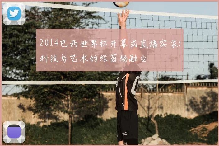 2014巴西世界杯开幕式直播实录：科技与艺术的绿茵场融合