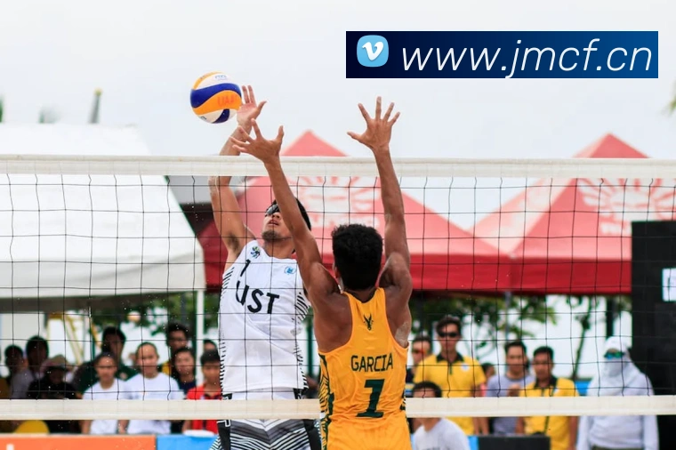 leyu乐鱼手机官网发展历程